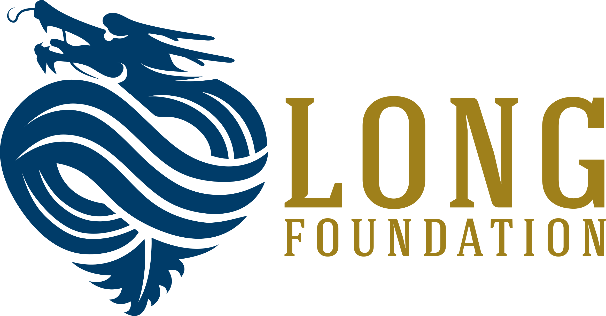 Long Foundation